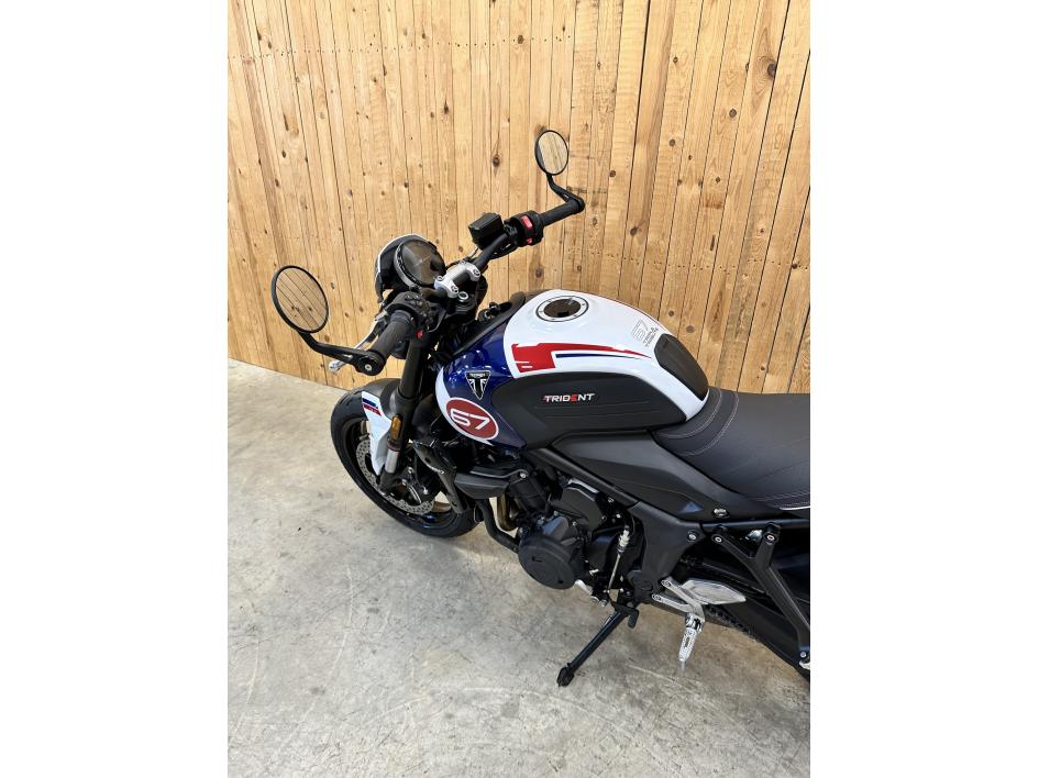 TRIUMPH TRIDENT 660 Tribute