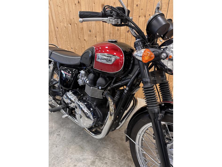 TRIUMPH Bonneville T100