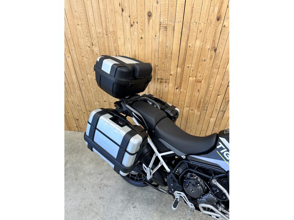 TRIUMPH TIGER 900 RALLY Aragon Edition
